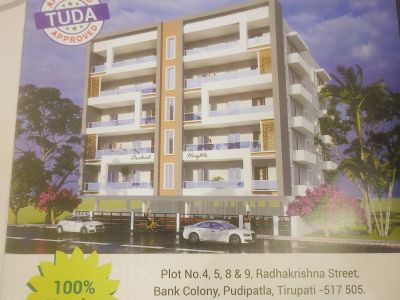 Orchid heights - PS0068