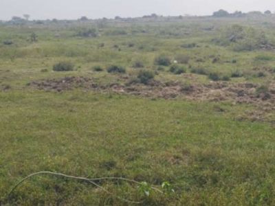 Agricultural land sale - PS0016