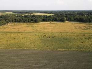 Massive East Facing Residential Plot for Sale  Prime Investment Opportunity - PS0035