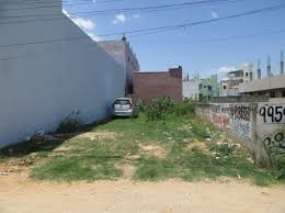 Individual plots